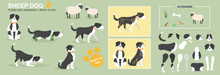 Collie Sheep Dog Ready To Animate. Vector Illustration, Multiple Poses And Accessories. Character Animation Puppy, Cute Dog, Sheep Herding. Broken Down Ready To Animate. Farming Sheep. Cartoon. 