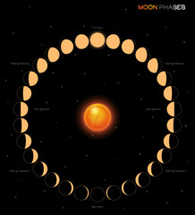 Wall Mural - moon phases scheme sphere shadow cycle astronomy icon set. vector illustration background
