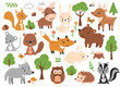 Woodland animals set with fox, hare, bear and other. Hand drawn vector illustration.