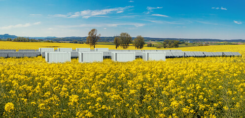 solarfield with battery storage