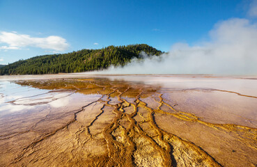 Sticker - Yellowstone