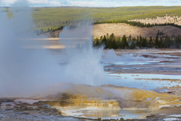 Wall Mural - Yellowstone