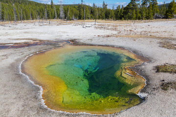 Sticker - Yellowstone