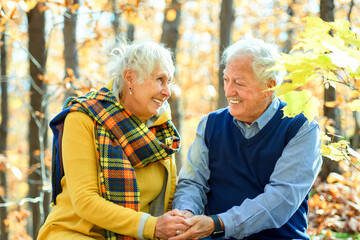 Wall Mural - Beautiful Elderly couple embracing in autumn park