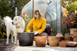 © rh2010 - Woman plants flower bulbs in clay jugs for growing in glass orangery at garden, white dog stands nearby. Florist gardening at beautiful backyard on sunny morning