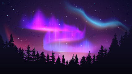 night sky with polar lights. aurora borealis, northern merry dancers and nature forest on north ligh