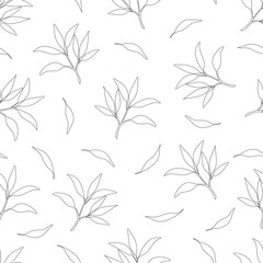 Wall Mural - Sage leaves ink style seamless pattern. Vector botany elements hand drawn on white background.