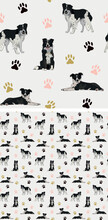 Seamless Border Collie Dog Pattern, Holiday Texture. Square Format, T-shirt, Poster, Packaging, Textile, Socks, Textile, Fabric, Decoration, Wrapping Paper. Trendy Hand-drawn Border Collie Dogs.