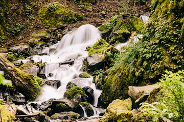 Beautiful waterfall in the green forest with a lots of plants nearby