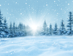 Wall Mural - winter christmas background with fir tree branch