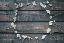 White Wildflowers Are Arranged In A Circle On A Wooden Table Background. Yarrow Inflorescences. Horizontal Boards. Romantic Provence Rustic Style
