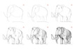 Page shows how to learn to draw sketch of mammoth. Creation step by step pencil drawing. Educational page for artists. Textbook for developing artistic skills. Online education. Vector image.