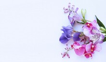 Delicate Floral Arrangement - Lilac Alstroemeria And Irises And Pink Orchids On A White Background. Pastel Shade. Background For Greetings, Invitations, And Postcards.