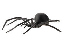 Fake Rubber Spider Toy Isolated Over A White Background. Black Spider Toy Isolated On A Transparent Background. Comic Horror For Halloween.