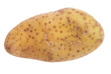 Fresh Raw Potatoes Isolated On A Transparent Background