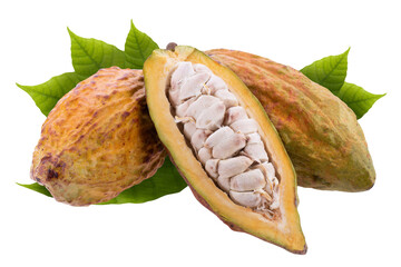 Canvas Print - Cocoa pod and cocoa seed isolated on a transparent background