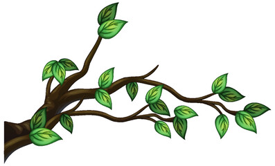 Wall Mural - tree branch isolated on white background