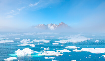 Wall Mural - stranded icebergs in the fog at the mouth of the icefjord near kulusuk, greenland