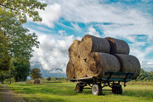 Stack Of Round Hay Bales On A Trailer In A Field, East Frisia, Lower Saxony, Germany