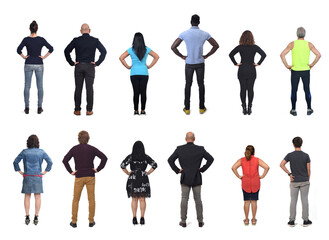 Wall Mural - back view of large group of peple with arms akimbo on white background