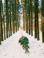 A girl in a white fur coat drags a Christmas tree from the forest on a winter day