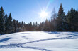Beautiful winter landscape with snow, path and northern sun in coniferous forest