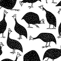 Vector seamless pattern with hand drawn funny helmeted guinea fowls made in cartoon style. Ink drawing, graphic illustration, heavy contour. Beautiful design elements, perfect for prints