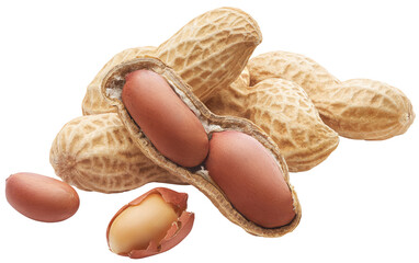Poster - Group of peeled, unpeeled and opened shell peanuts