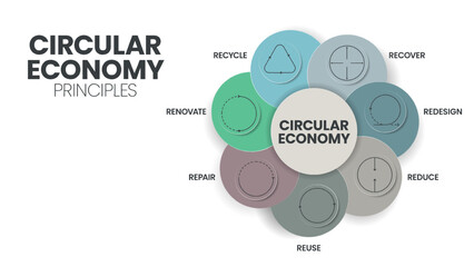 7R circular economy principles concept for economic sustainability of production and consumption has 7 steps to analyze such as reduce, recycle, recover, repair, redesign, reuse and renovate. Vector.