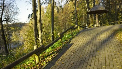 Wall Mural - Autumn walk along the trail in the Gauja National Park. Yellow leaves on trees and grass. A wooden staircase descends to the highway. Hiking trails for active walks. Sigulda, Latvia