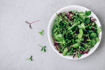 Microgreens. Superfood microgreen sprout mix in bowl on gray stone background.