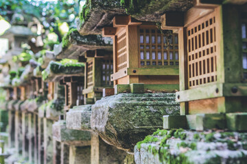 Sticker - 9 April 2012 a Japanese Stone Lanterns, Kasuga Taisha Shrine