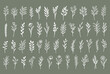 © Jen - Vector set template for laser cutting and Plotter. Set of branches with flowers and leaves. Plants for decoration. White objects on a background.