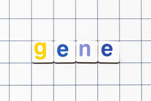Colorful Tile Letter In Word Gene On White Grid Background