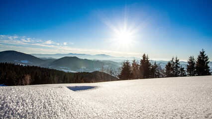 Mountain Winter Landscape. Spruce Tree Forest Covered by Snow in Winter Landscape