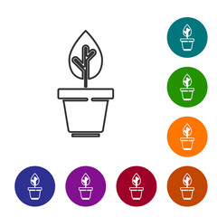 Wall Mural - Black line Plant in pot icon isolated on white background. Plant growing in a pot. Potted plant sign. Set icons in color circle buttons. Vector