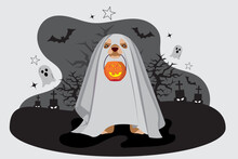 A Puppy With A White Cloth Covering His Head And Body And A Halloween Pumpkin Hanging From His Mouth Is Celebrating Halloween Night In A Cemetery