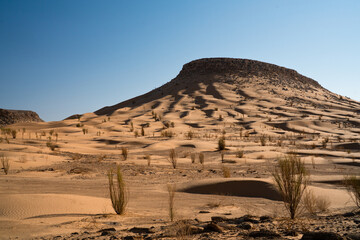 Sticker - Views of the desert, Douz region, southern Tunisia