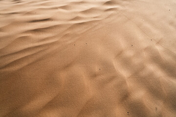 Sticker - Views of the desert, Douz region, southern Tunisia