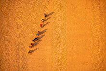 Aerial View Of Farmers Working In A Field Drying Rice On A Rice Field In Dhamrai, Dhaka, Bangladesh.
