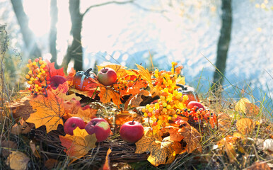 Wall Mural - Beautiful autumn decor of leaves, pumpkins and apples in garden, abstract blurred natural background. Beautiful Festive decoration for Thanksgiving holiday, Mabon, Halloween party. Fall harvest season