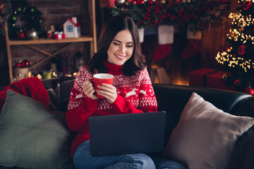 Sticker - Portrait of gorgeous cheerful person sit sofa hold fresh hot cacao mug use netbook festive atmosphere indoors