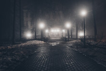 City Park At Night In Fog