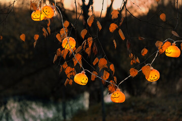 Poster - Orange jack-o' lanterns garland on dark mysterious natural abstract background. symbol of Halloween holiday, Samhain sabbat. autumn season.