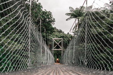 Canvas Print - caucasian guy doing a handstand with bare torso and black pants at the end of long narrow wooden and wire bridge between forest trees on donut island, new zealand