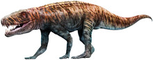 Batrachotomus From The Triassic Era 3D Illustration	