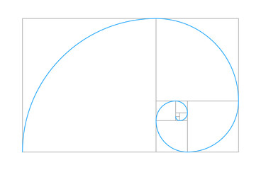 Golden ratio vector spiral shape in fibonacci grid on white background