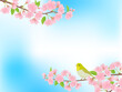 青空に咲く葉桜とメジロ_フレーム背景_ベクターイラスト