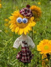Moose Sweater Sunflower