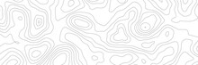Vector Seamless Background, Subtle Pattern. Topographic Map Background Concept